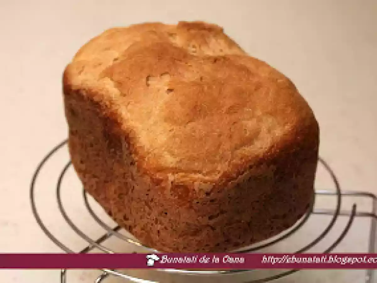 Paine cu lapte batut - poza 2