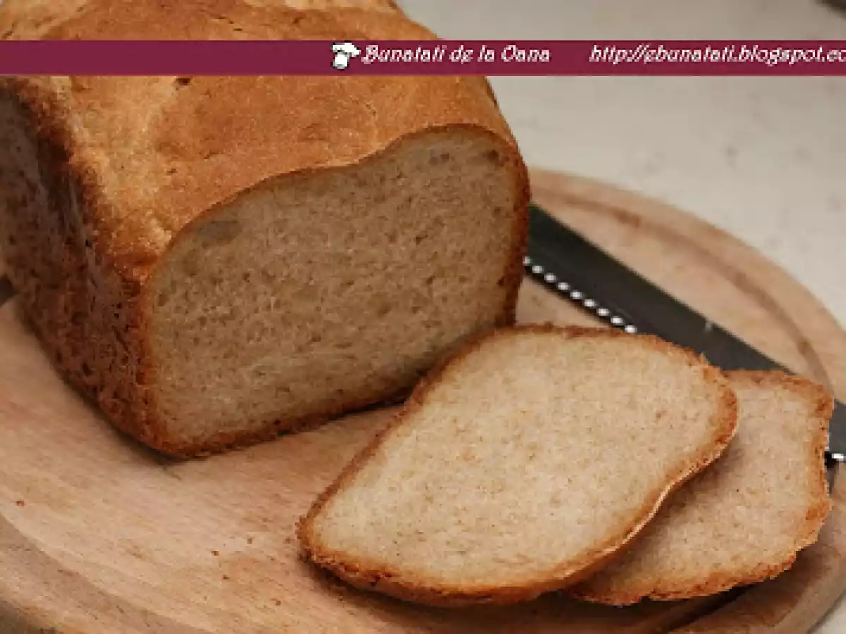 Paine cu lapte batut - poza 3