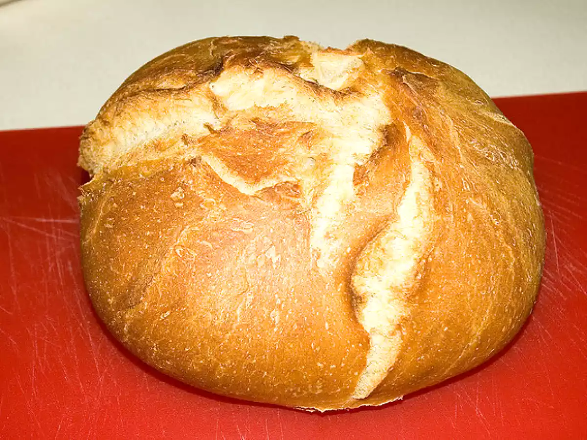 Paine de casa simpla