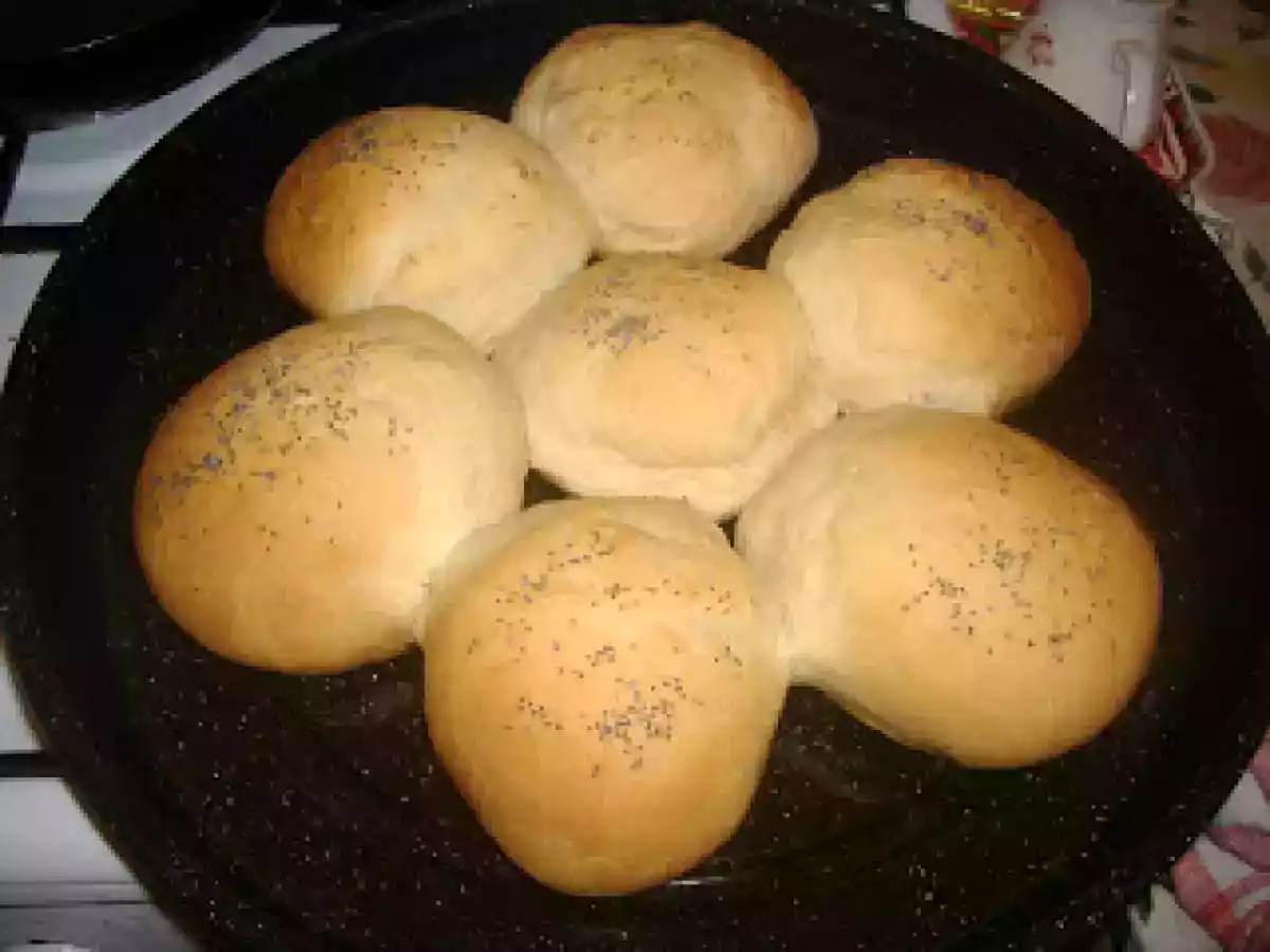 Paine Floare - poza 2