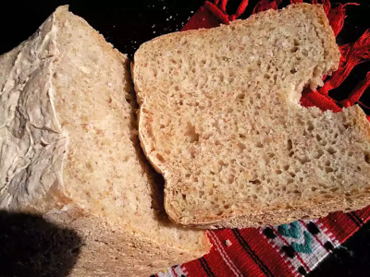 PAINE INTEGRALA LA MASINA DE PAINE /