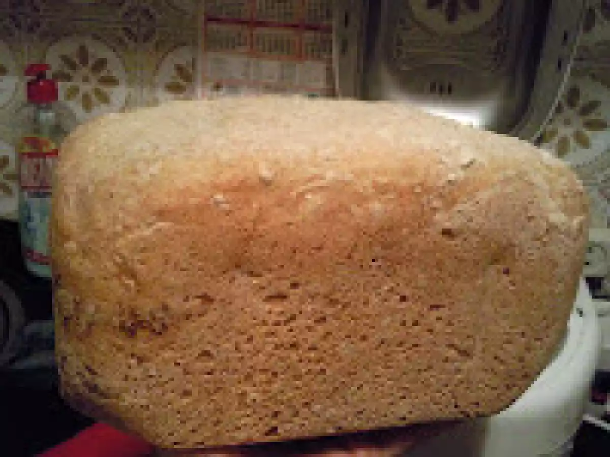 PAINE INTEGRALA LA MASINA DE PAINE / - poza 2