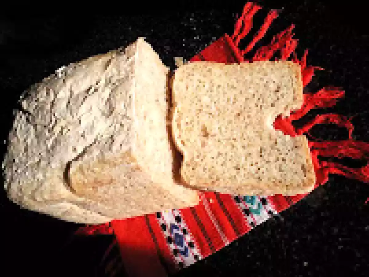 PAINE INTEGRALA LA MASINA DE PAINE / - poza 3