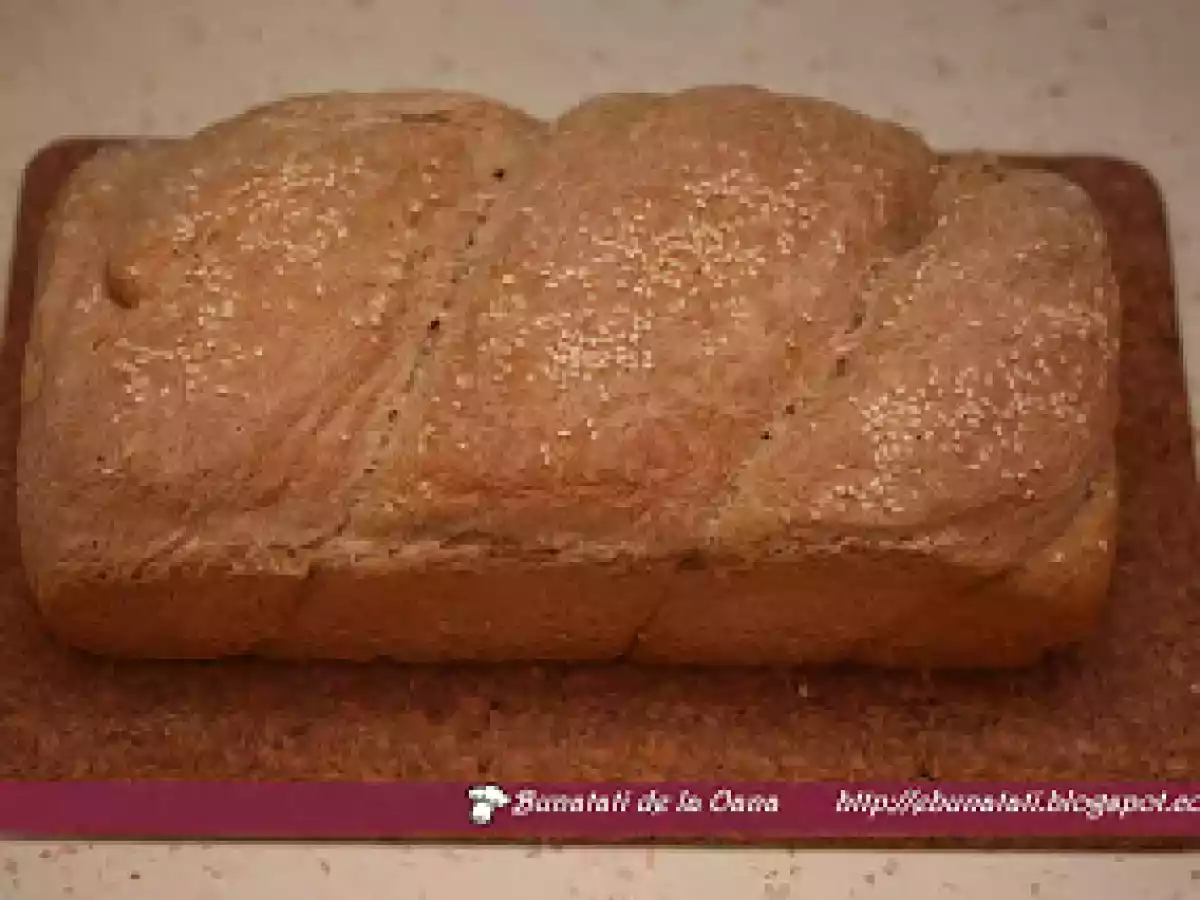 Paine neagra - poza 2