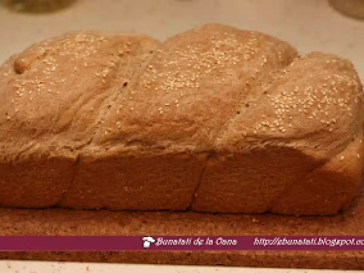 Paine neagra - poza 3