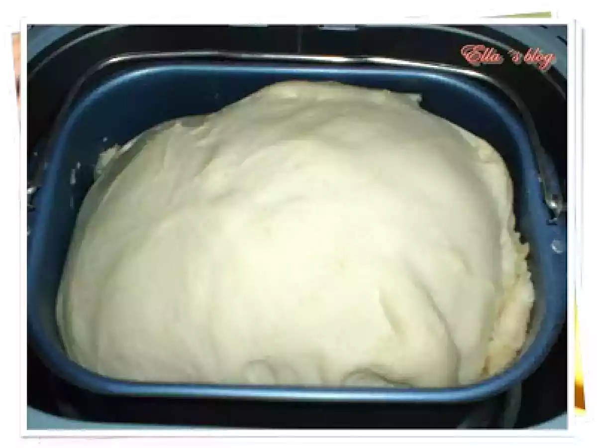 Paine spaniola - poza 4