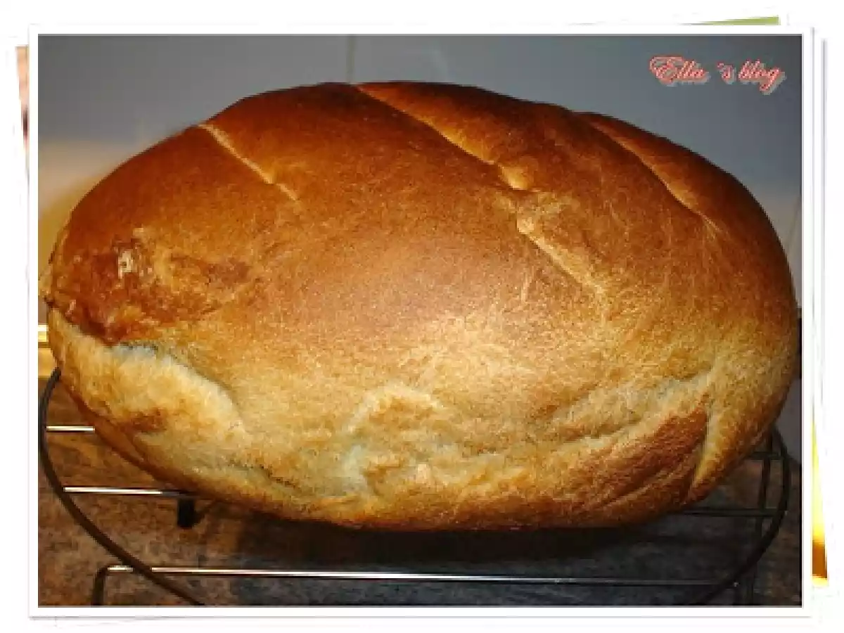 Paine spaniola - poza 5