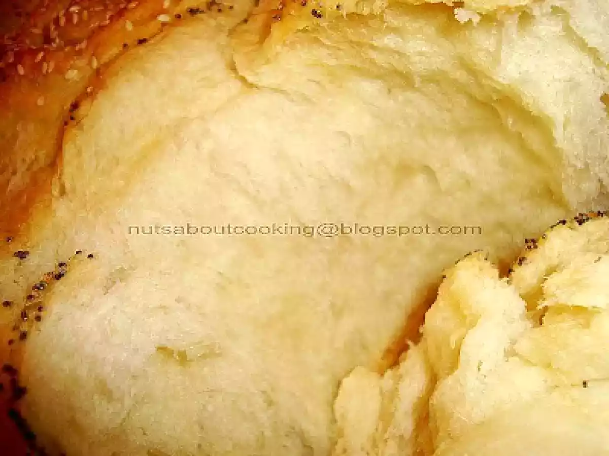 Paine Trandafir - poza 7