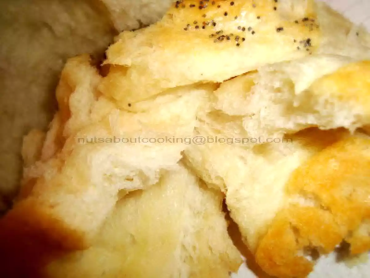 Paine Trandafir - poza 8