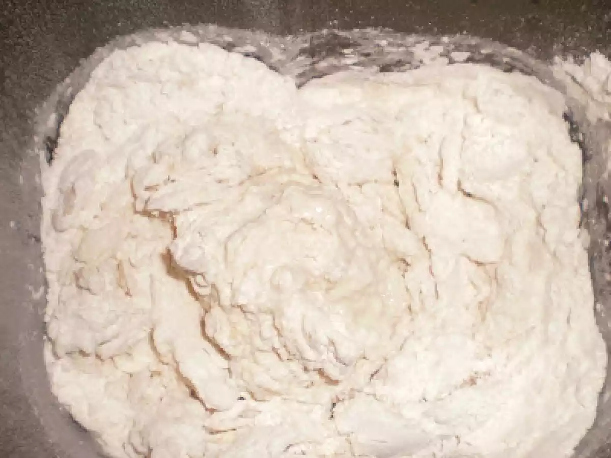 Paine turist - poza 3