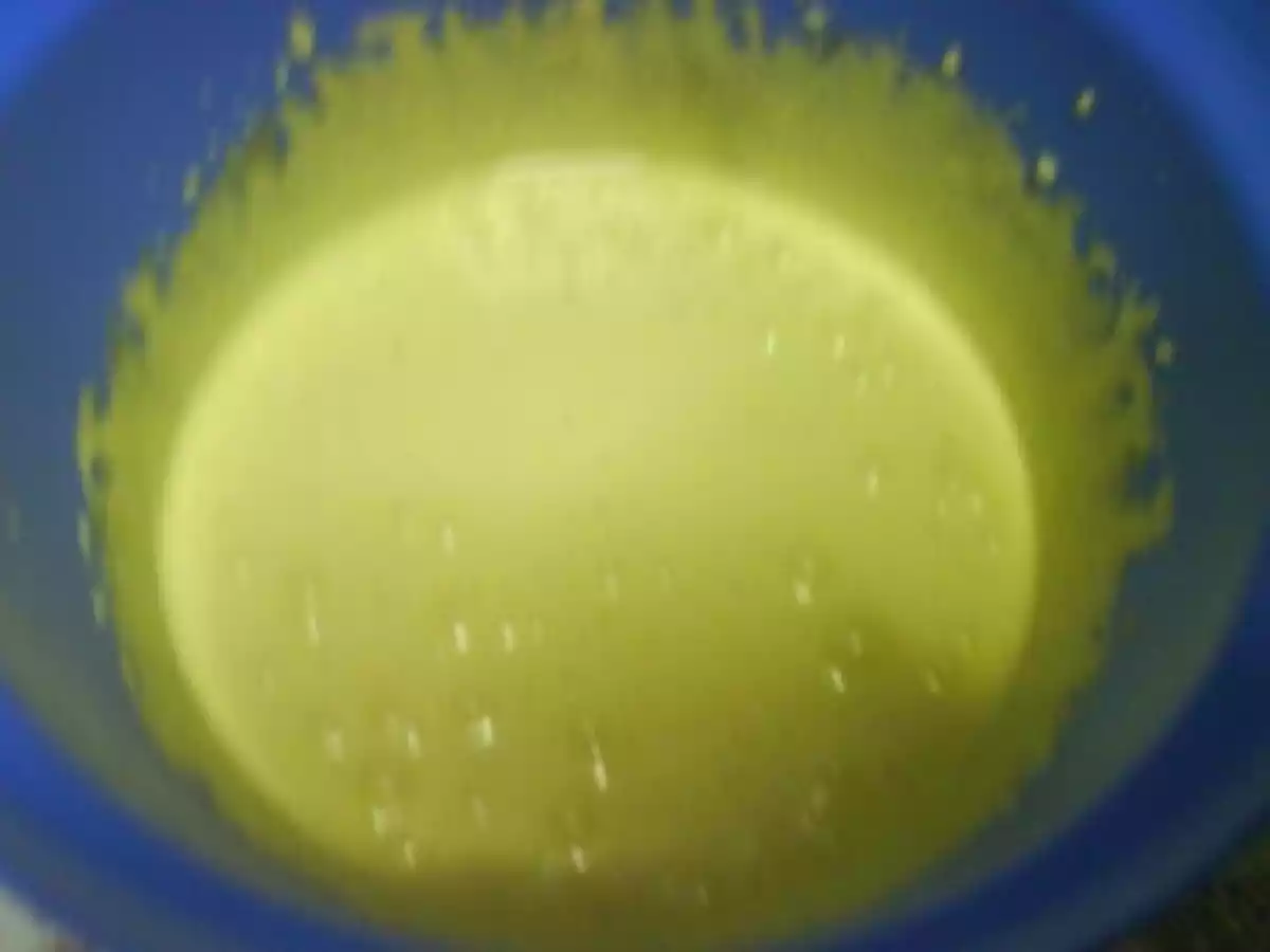 Pandispan cu fulgi de ciocolata - poza 3