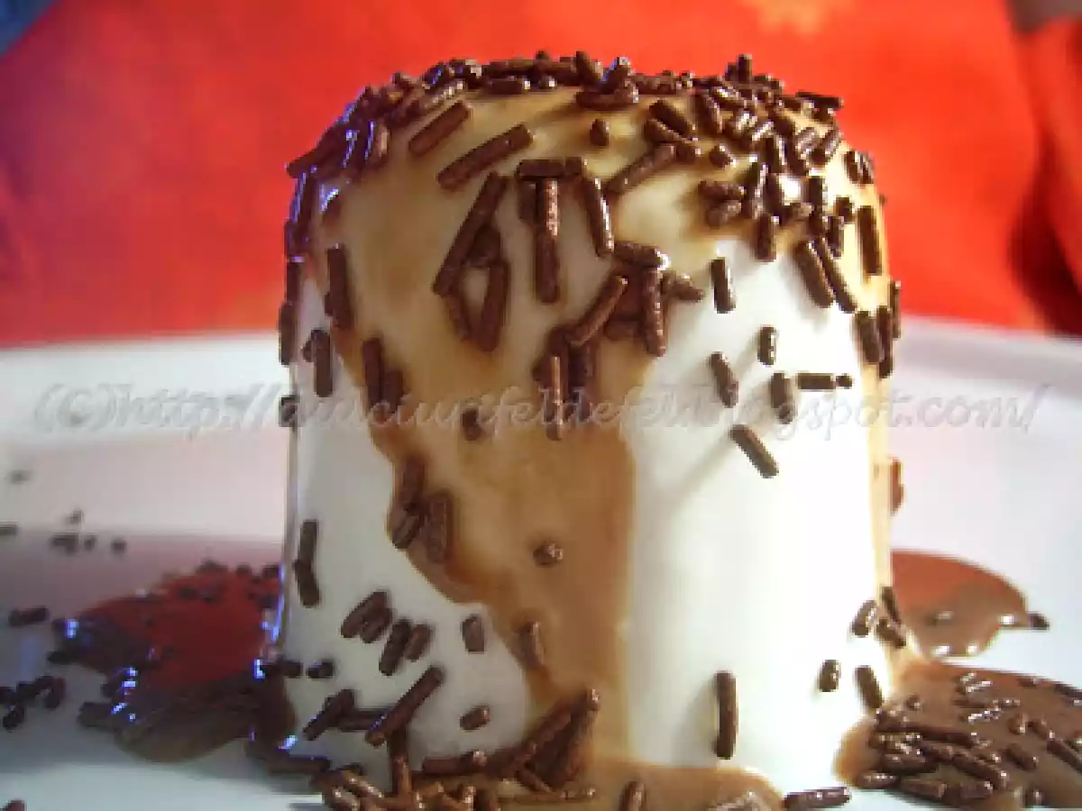 Panna cotta cu ciocolata