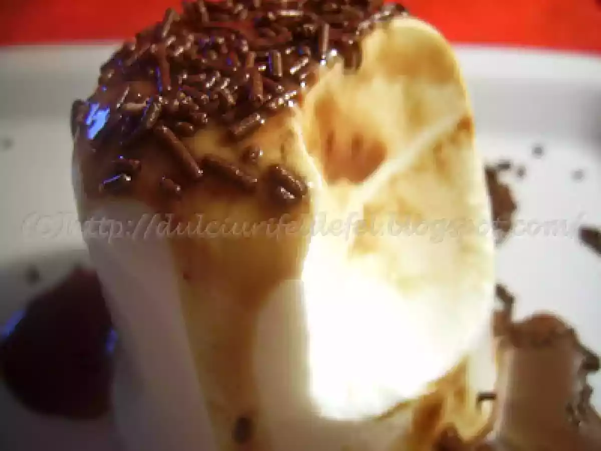 Panna cotta cu ciocolata - poza 2