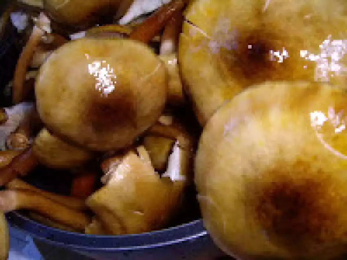 Paste cu ciuperci/Penne ai funghi - poza 3