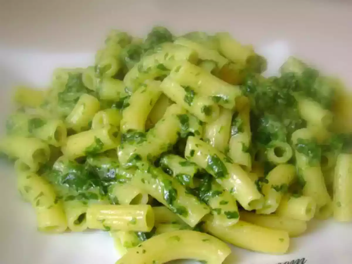 Paste cu sos de gorgonzola si spanac