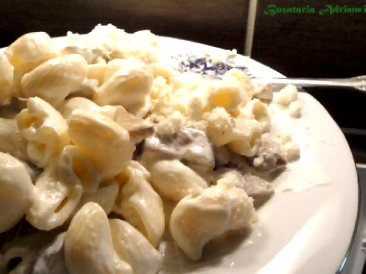 Paste cu sos de smantana si hribi