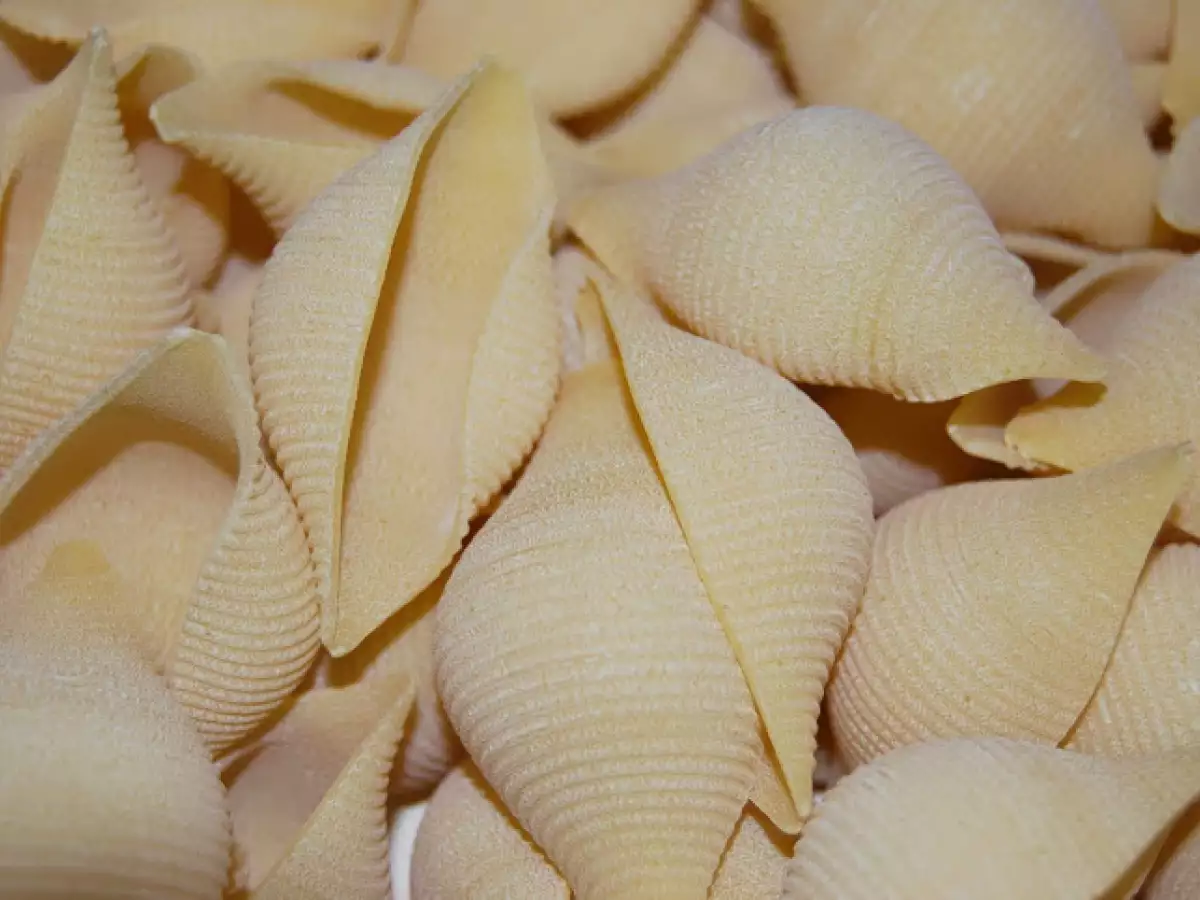 Paste scoici umplute cu pui si ciuperci - poza 8