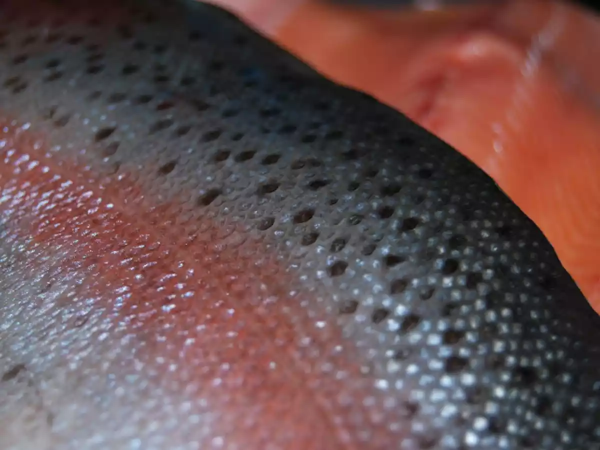 Pastrav in crusta de malai - poza 2