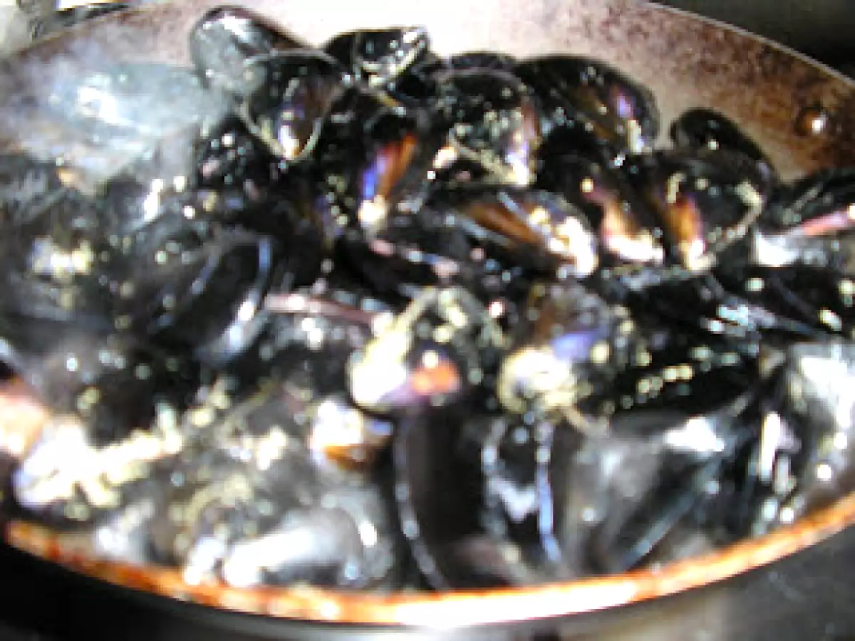 Penne con cozze e gamberetti( Pene cu scoici si creveti) - poza 2