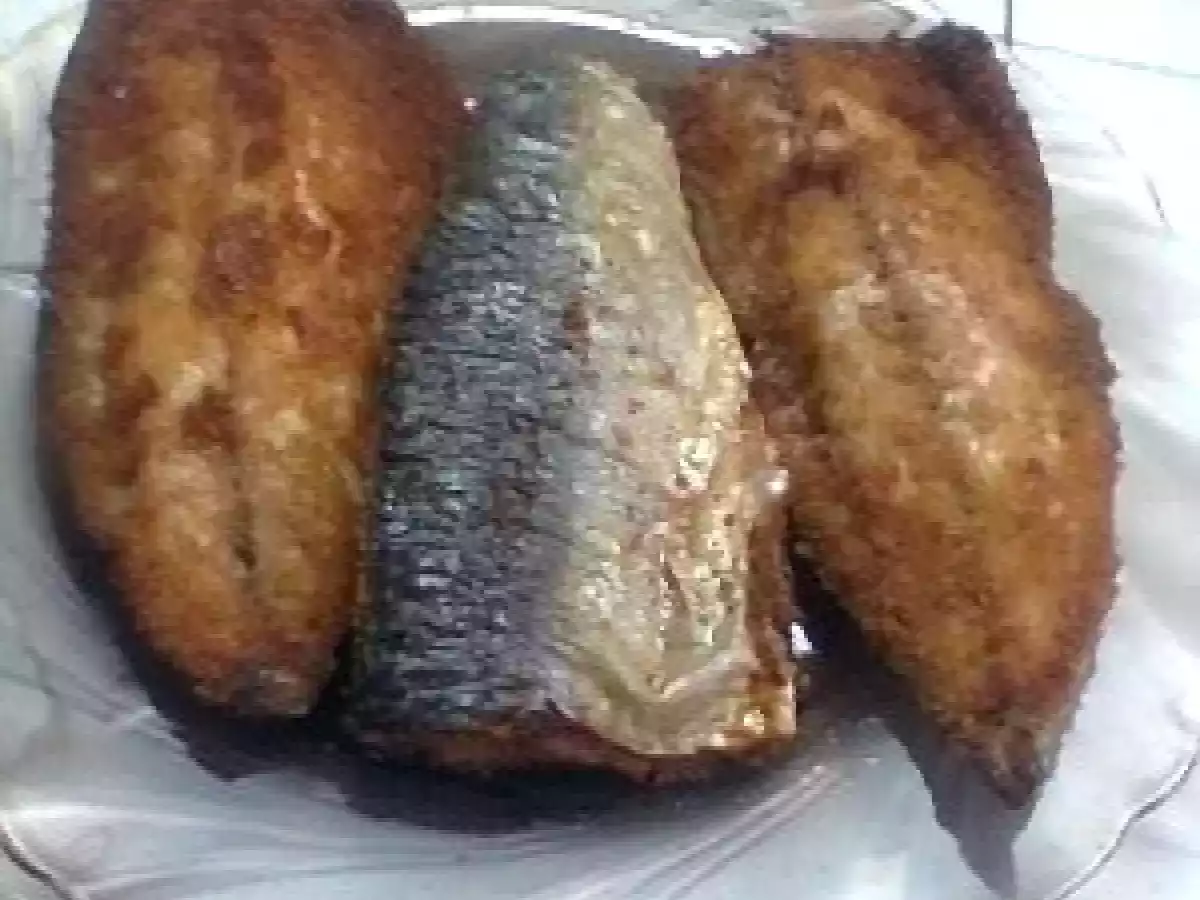 PESTE CU SOS DE SMANTANA - poza 2