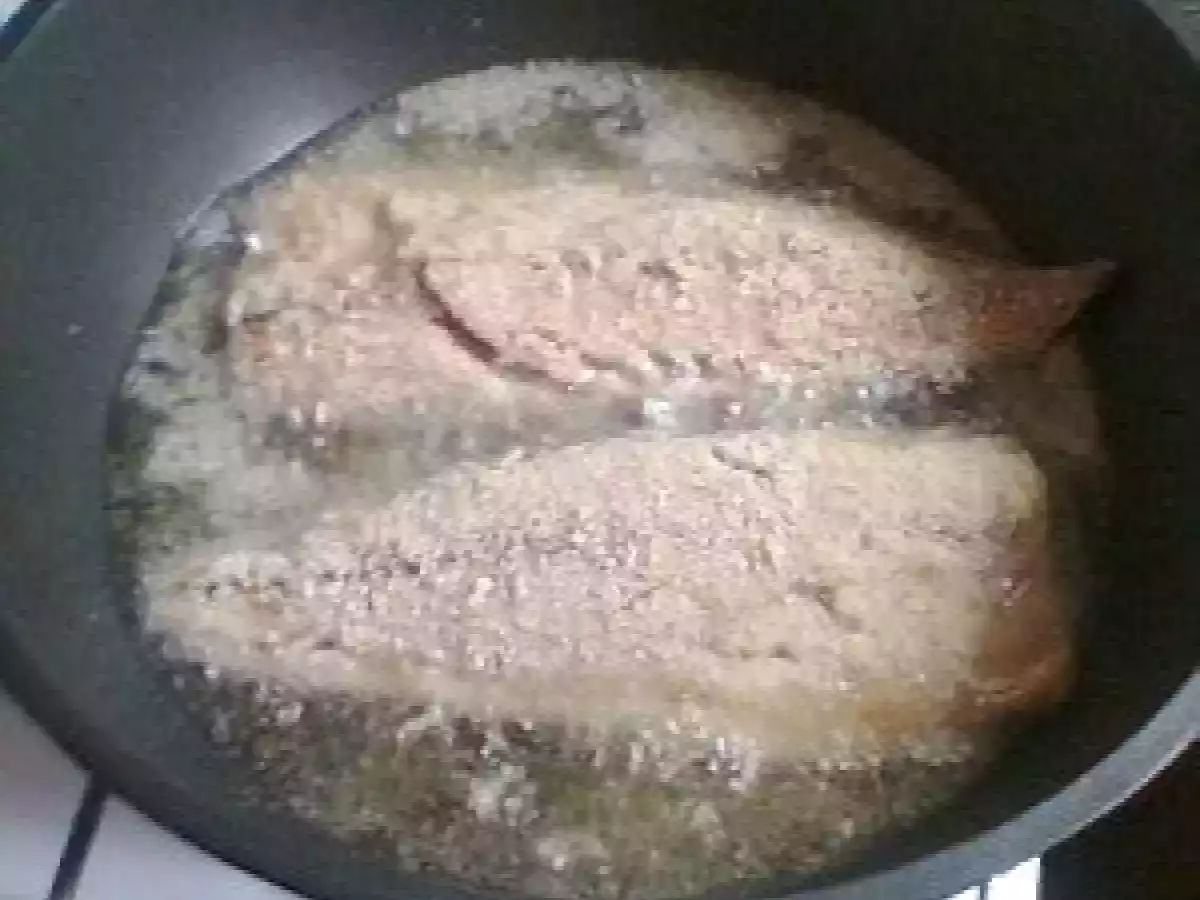 PESTE CU SOS DE SMANTANA - poza 6