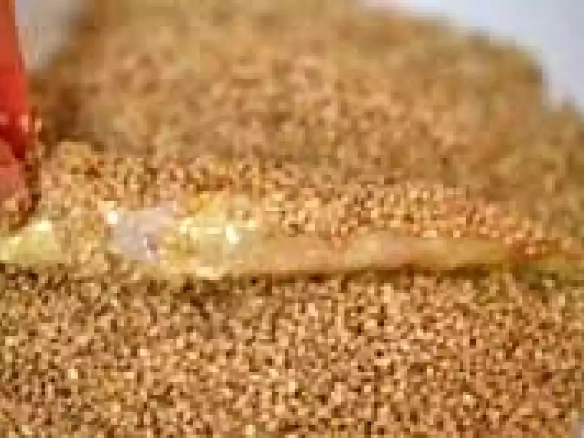 Peste cu susan - poza 3