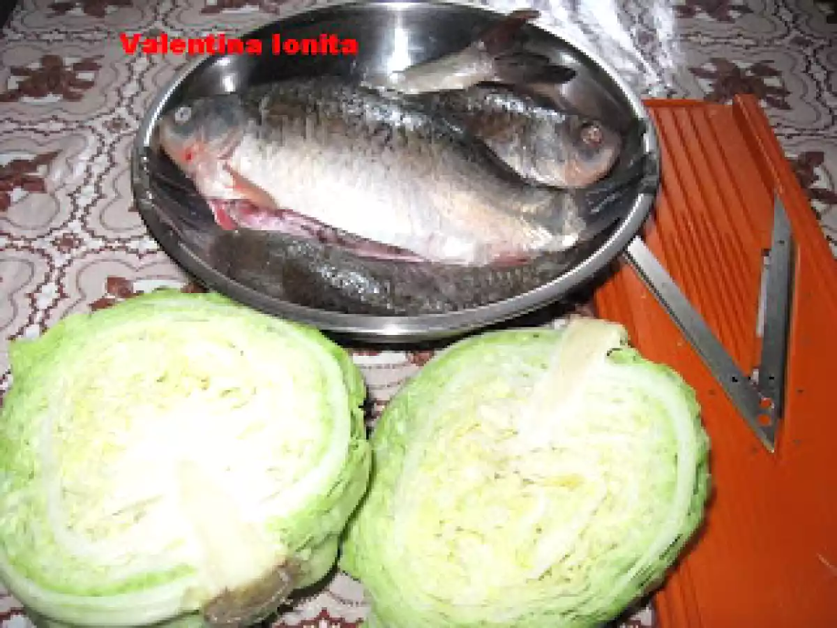 Peste umplut cu varza-specialitate dobrogeana - poza 2