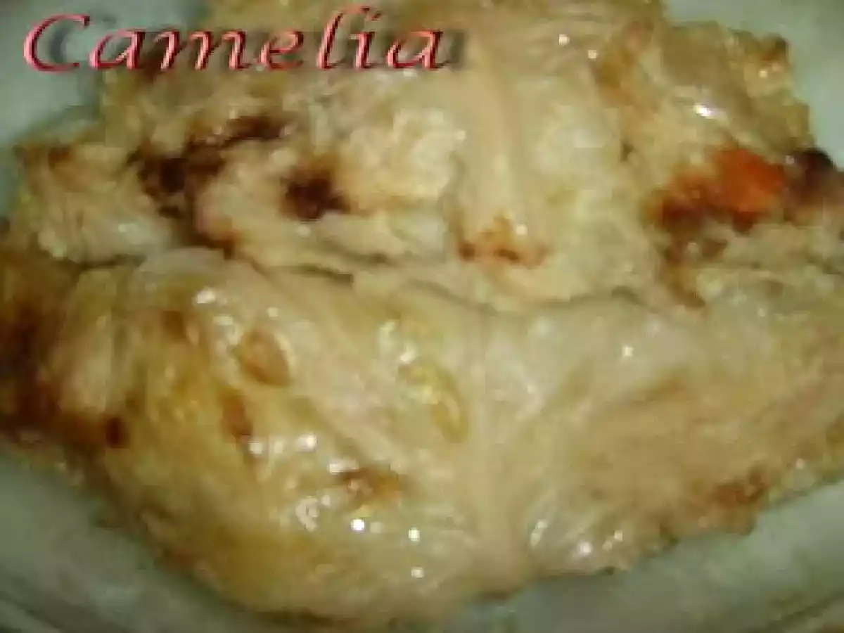 Piept de curcan invelit in foi de varza acra