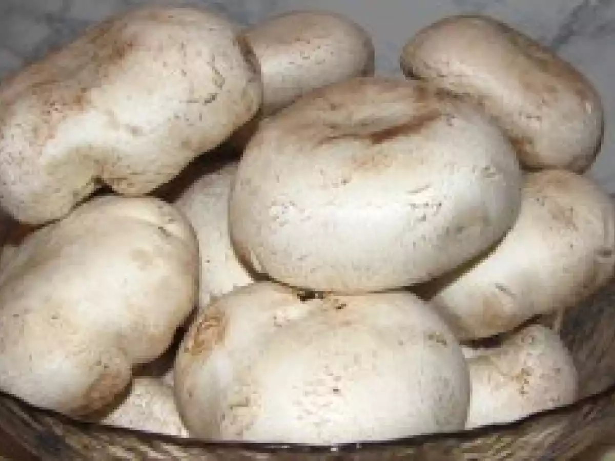 Piept de curcan umplut cu ciuperci, masline si cascaval - poza 3