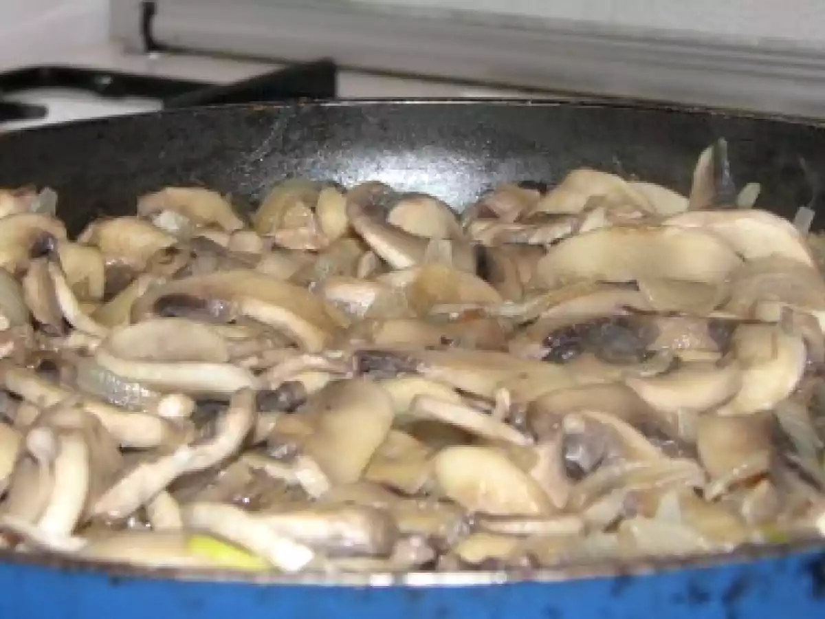 Piept de curcan umplut cu ciuperci, masline si cascaval - poza 10