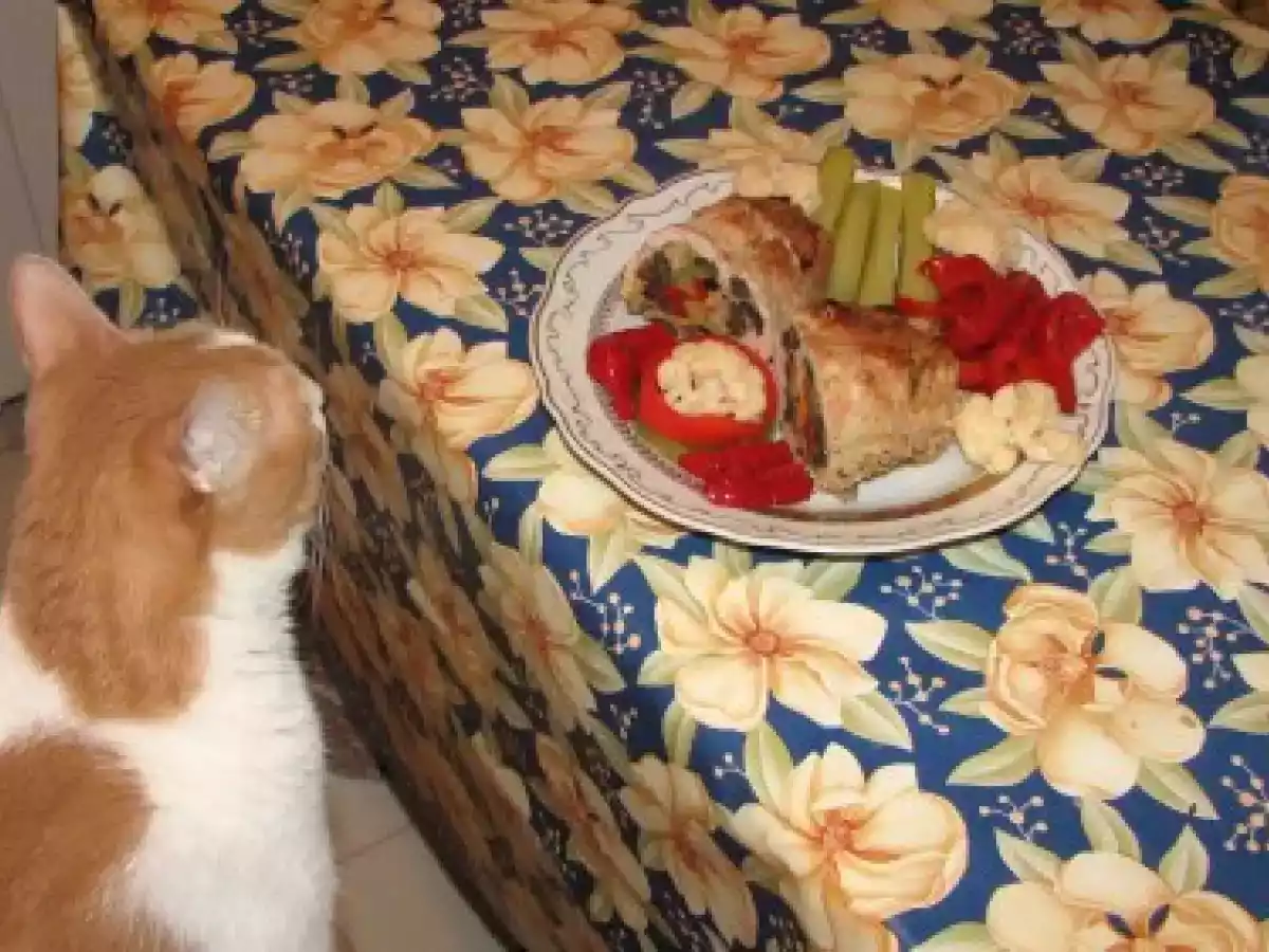 Piept de curcan umplut cu ciuperci, masline si cascaval - poza 21