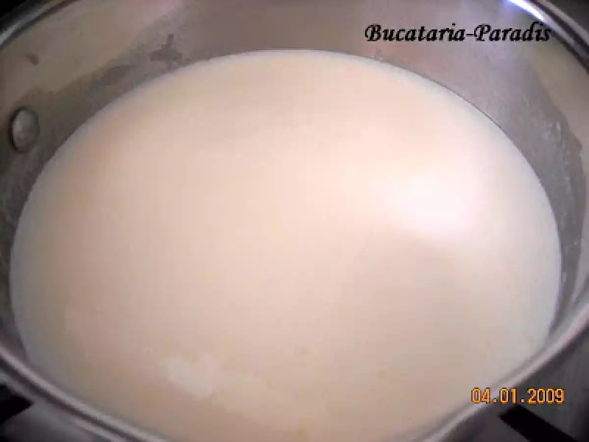 PIEPT DE PUI GRATINAT - poza 3