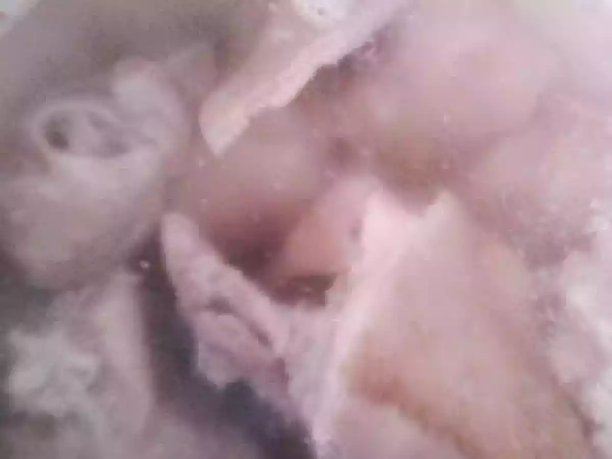 Piftie ( racitura) de porc - poza 6