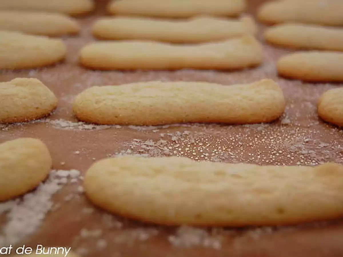 Piscoturi pufoase - ladyfingers - poza 2