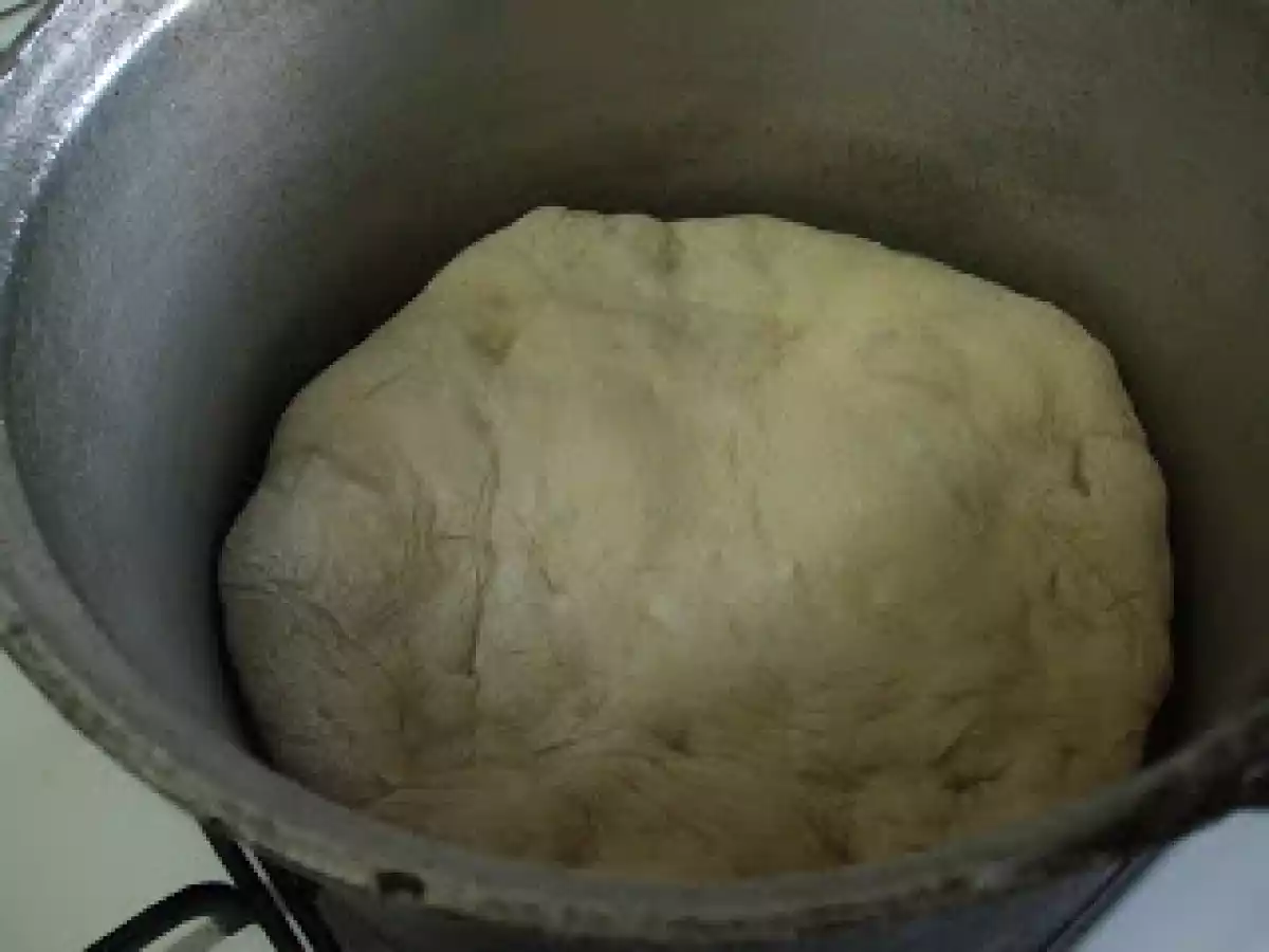 PITUTE COAPTE IN TUCI - poza 2