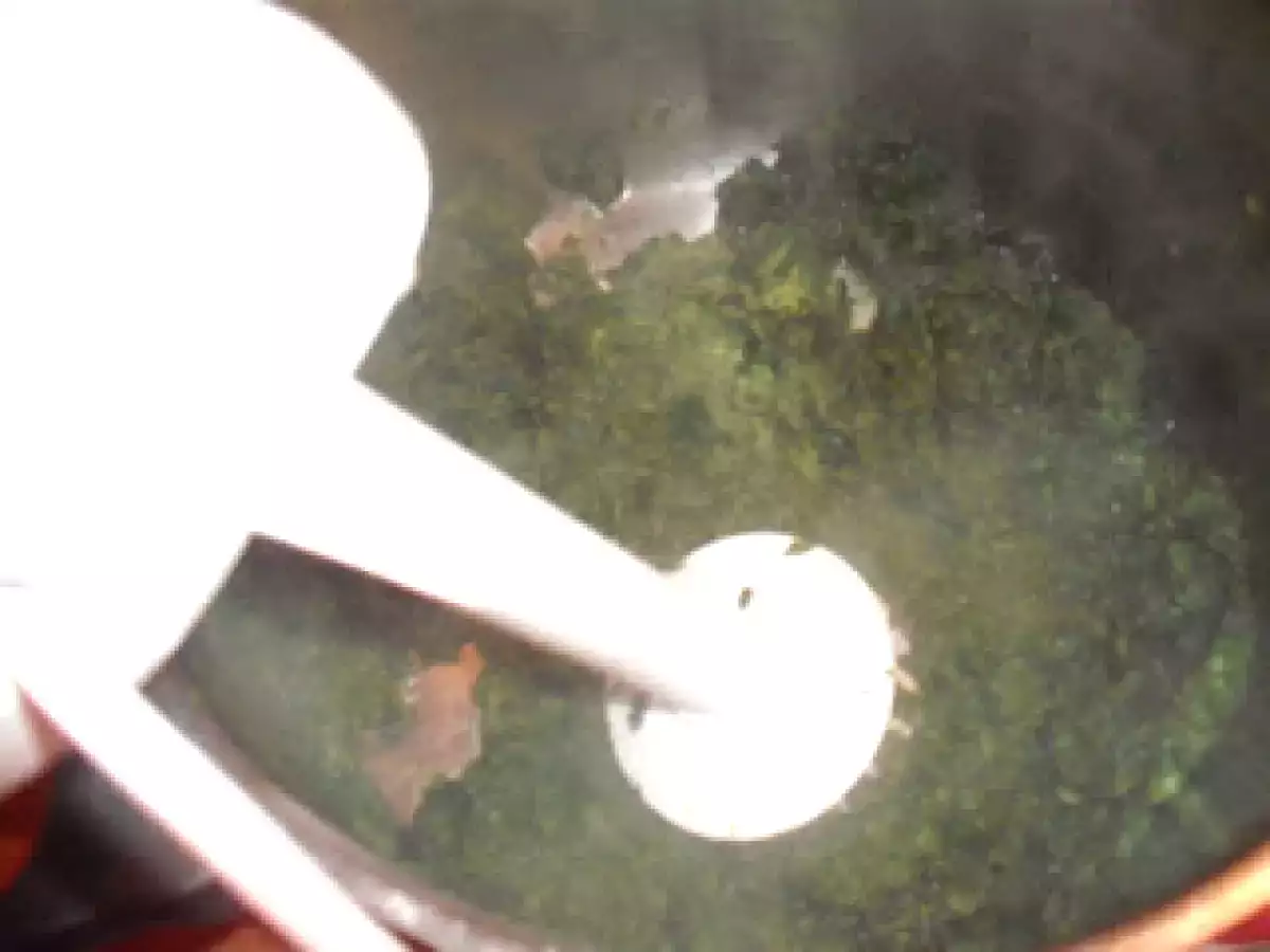 Piure de urzici - poza 2