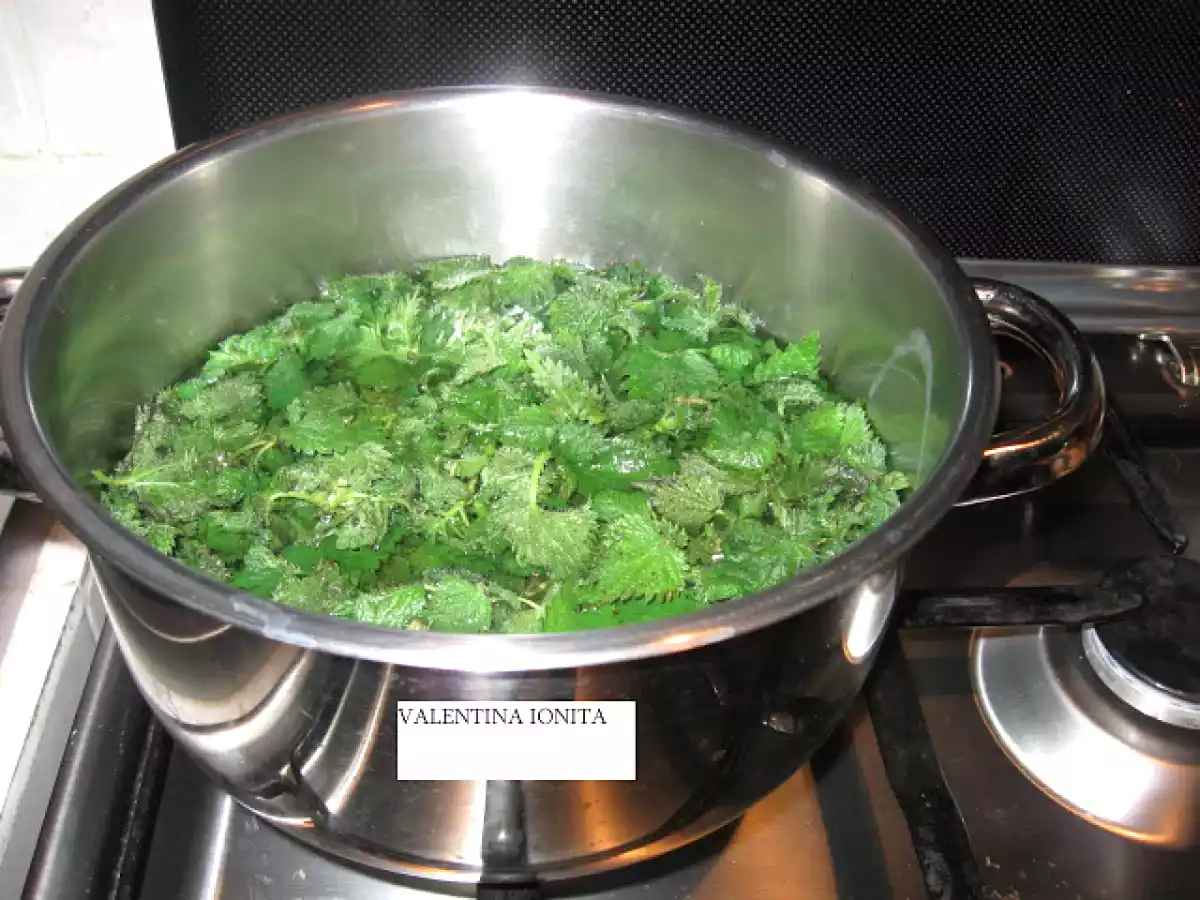 PIURE DE URZICI CU MAMALIGUTA - poza 4