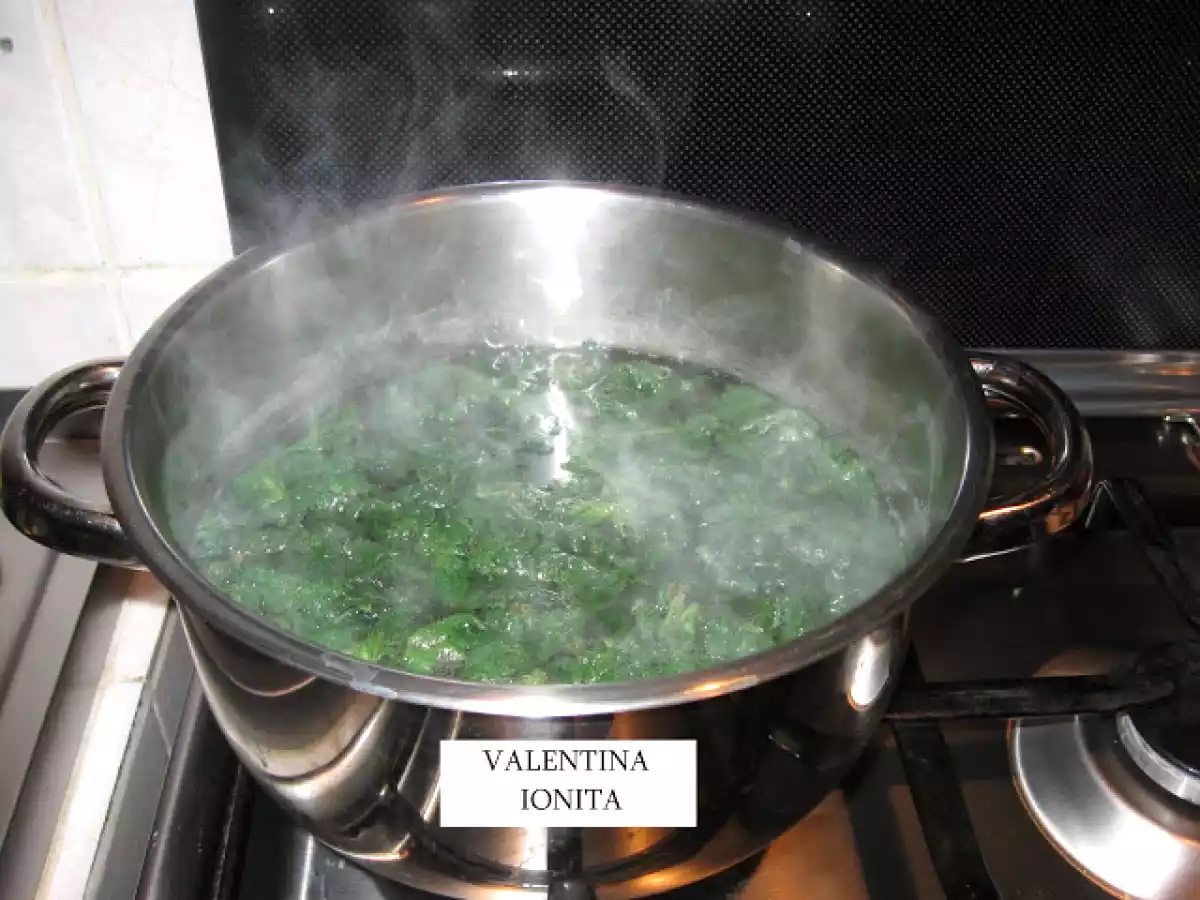 PIURE DE URZICI CU MAMALIGUTA - poza 5