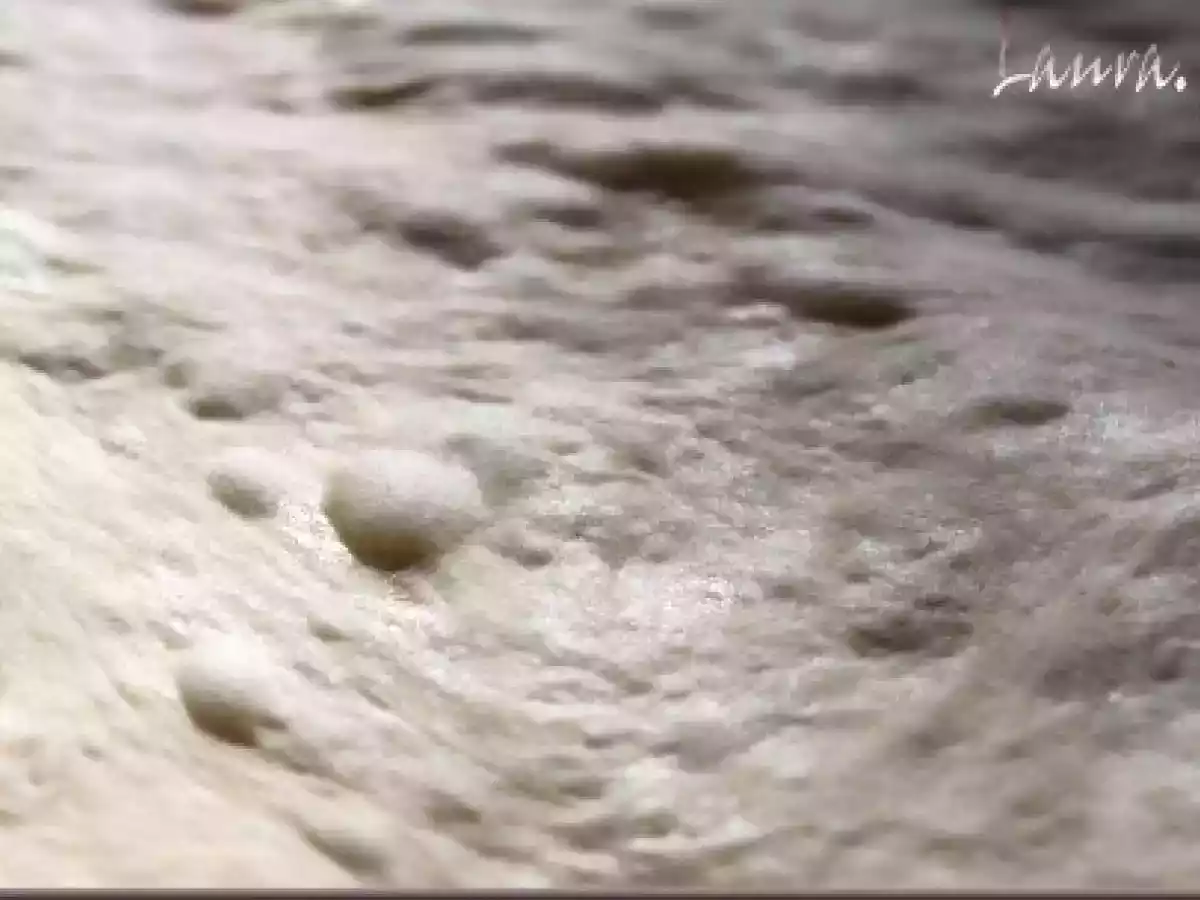 Pizza con zucchine (dovlecei) - poza 3