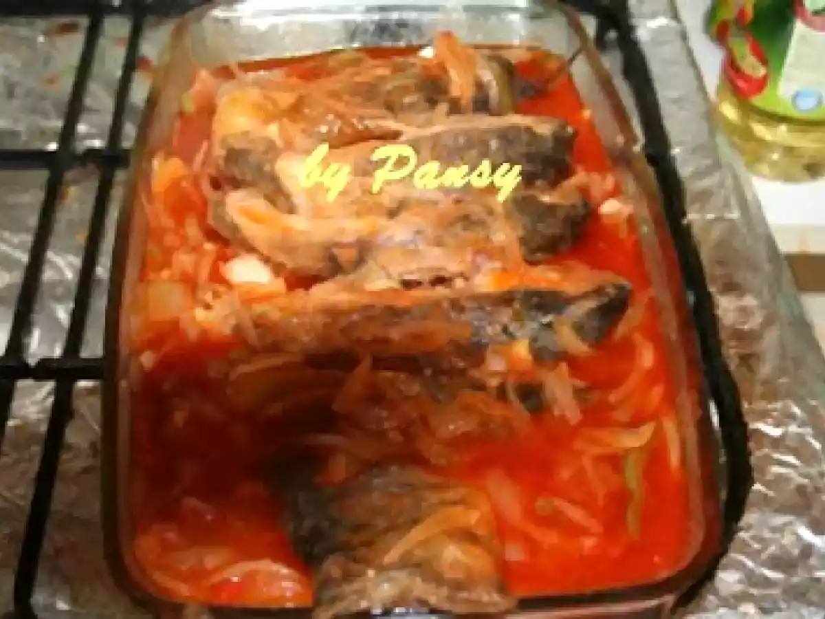 Plachie de crap - poza 5