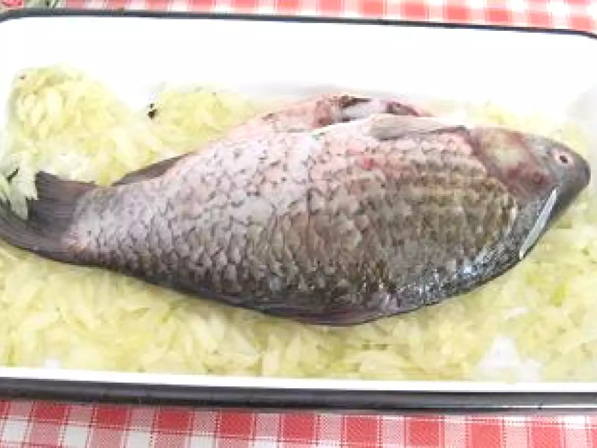 Plachie de Peste la Cuptor - poza 3