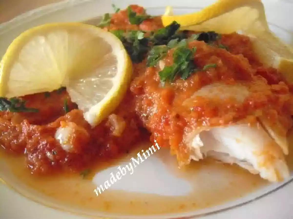 PLACHIE DE STIUCA - poza 2