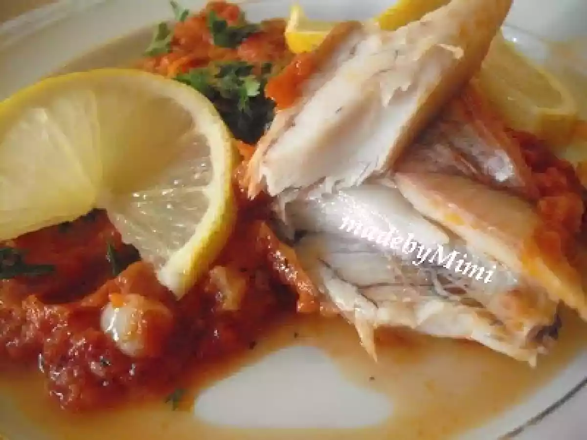 PLACHIE DE STIUCA - poza 3