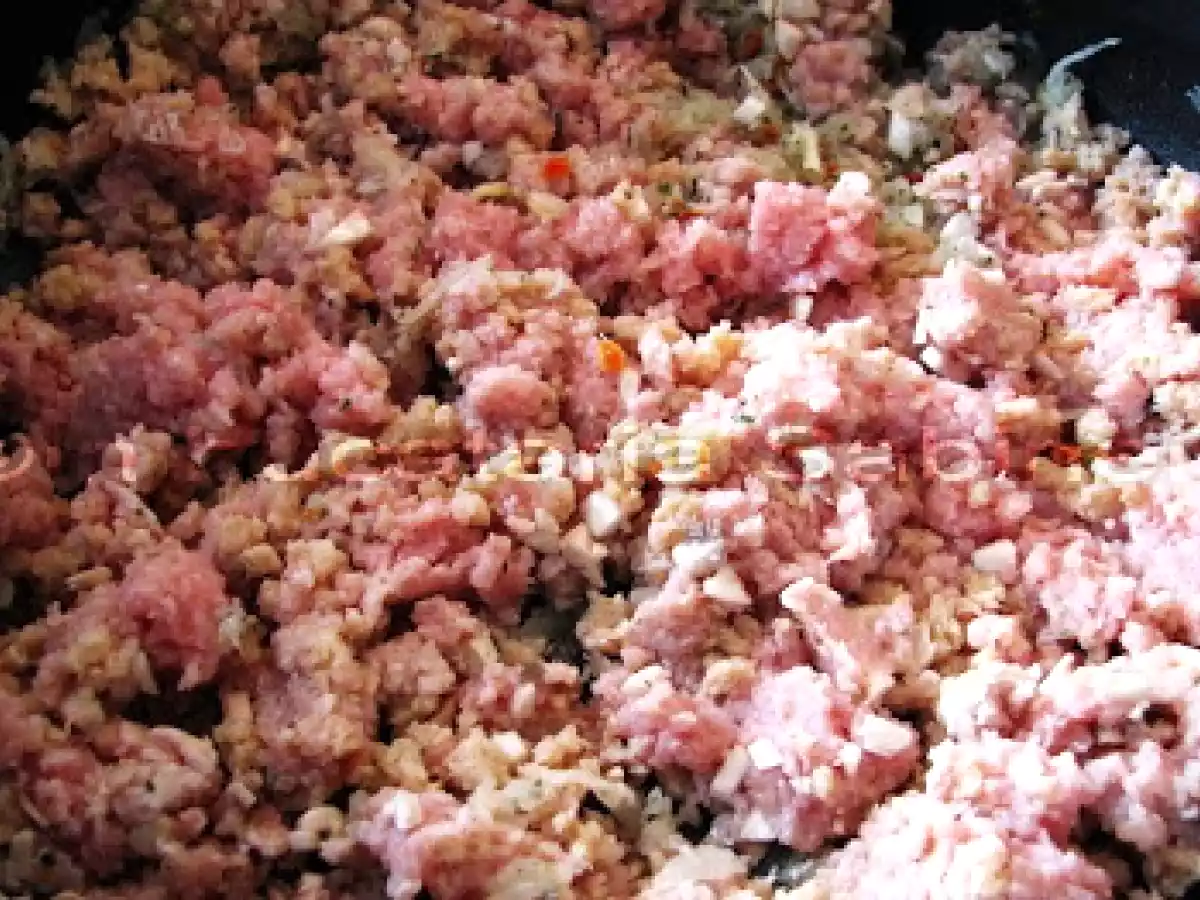 PLACINTA CU BERE SI CARNE