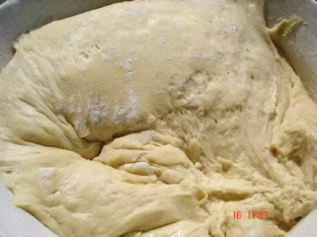 PLACINTA CU BRANZA DE BURDUF SI CAS DE OAIE - poza 3