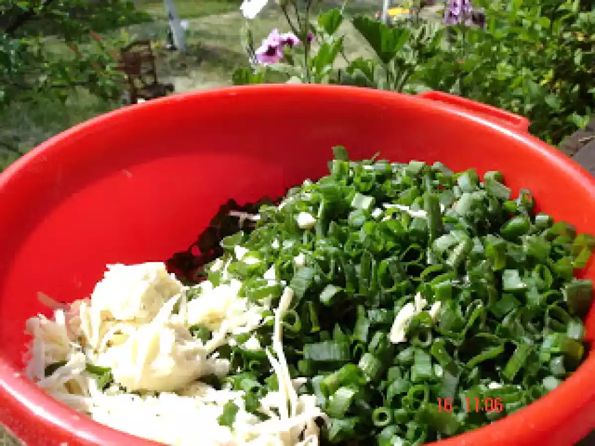 PLACINTA CU BRANZA DE BURDUF SI CAS DE OAIE - poza 5