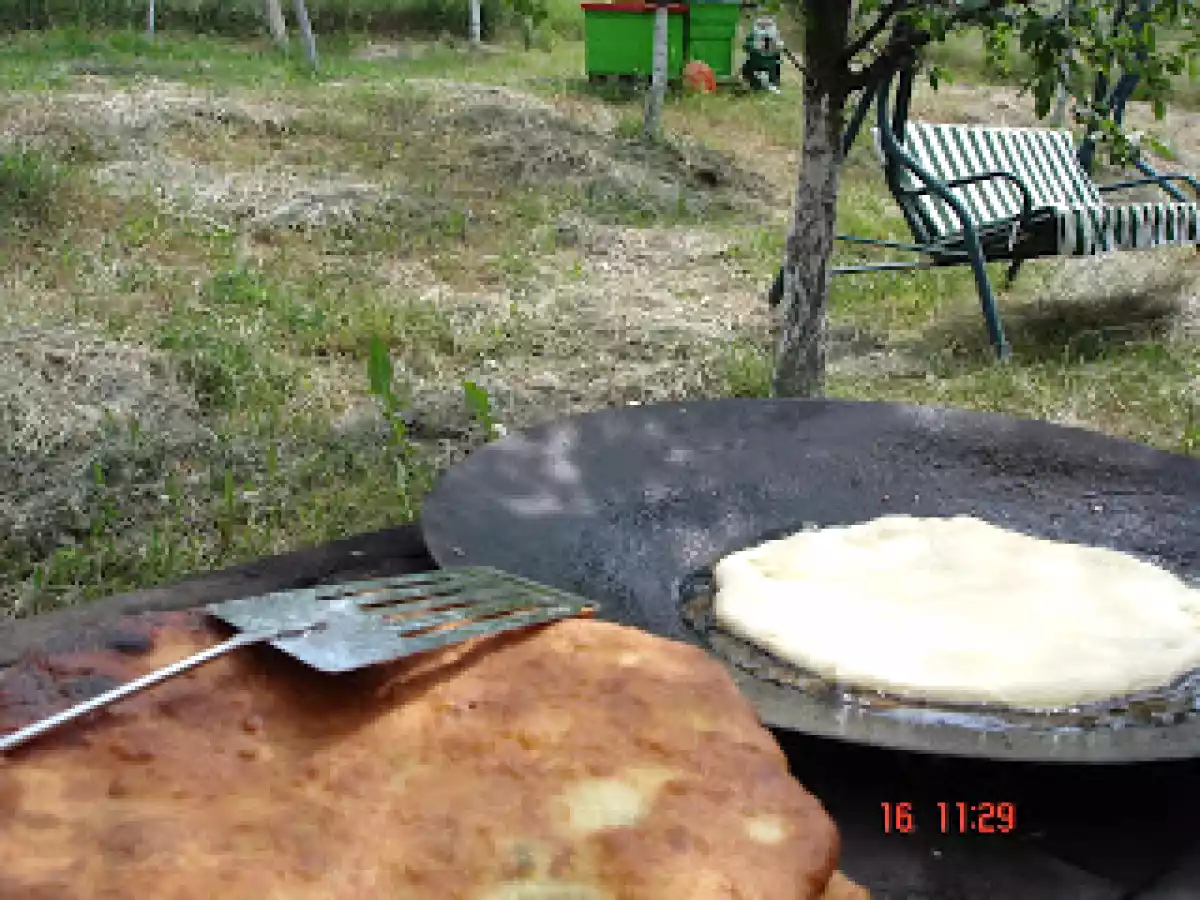 PLACINTA CU BRANZA DE BURDUF SI CAS DE OAIE - poza 6