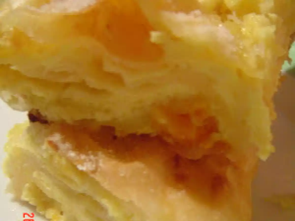 Placinta cu branza si caise uscate - poza 5