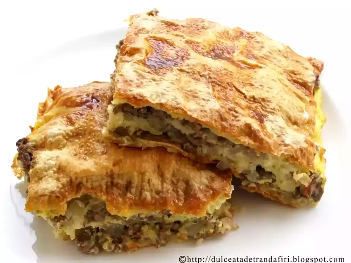 Placinta cu carne si bere