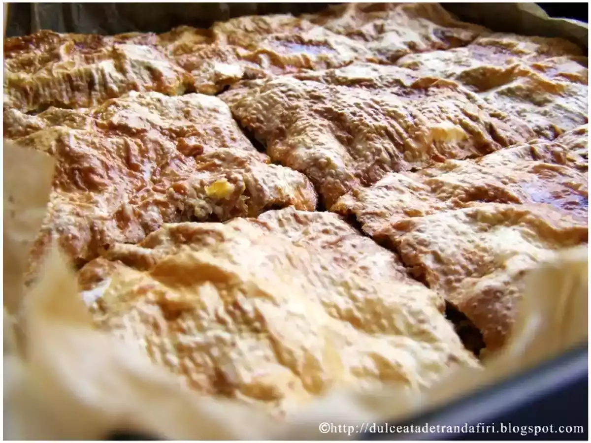 Placinta cu carne si bere - poza 2